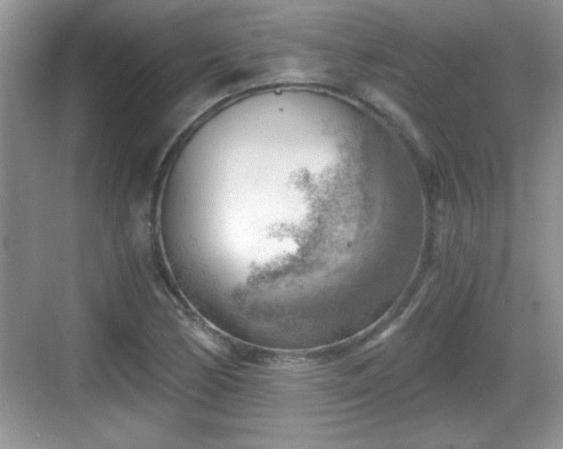 X0000068851170200605121401