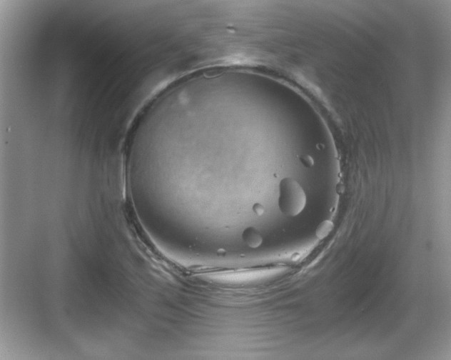 X0000068851171200605121401