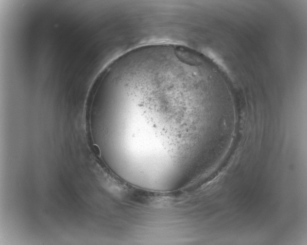 X0000068851173200605121401