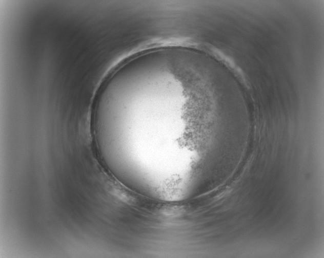 X0000068851174200605121401