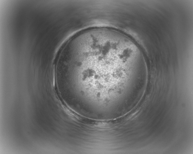 X0000068851175200605121401