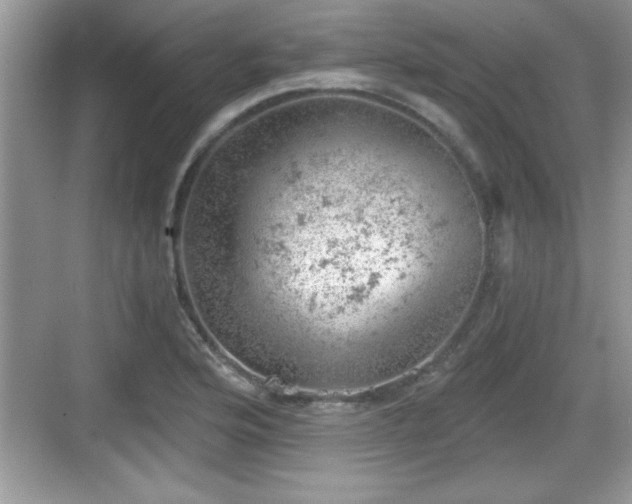 X0000068851176200605121401