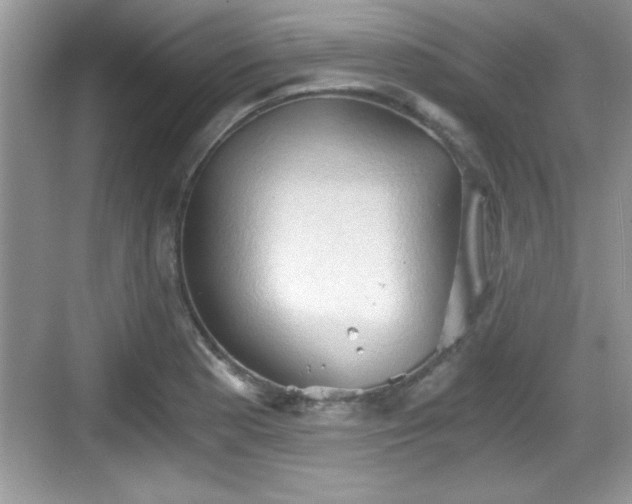 X0000068851177200605121401