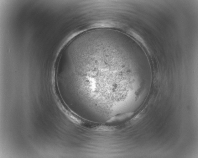 X0000068851179200605121401