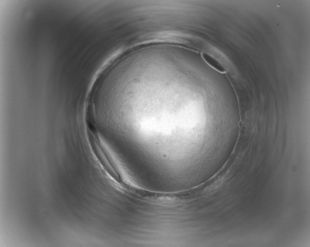 X0000068851180200605121401