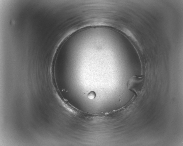 X0000068851181200605121401