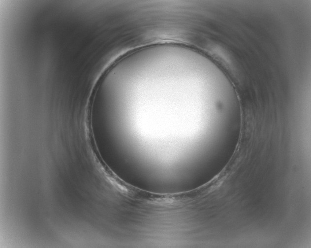 X0000068851182200605121401