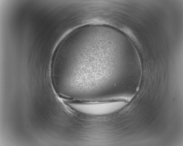 X0000068851183200605121401