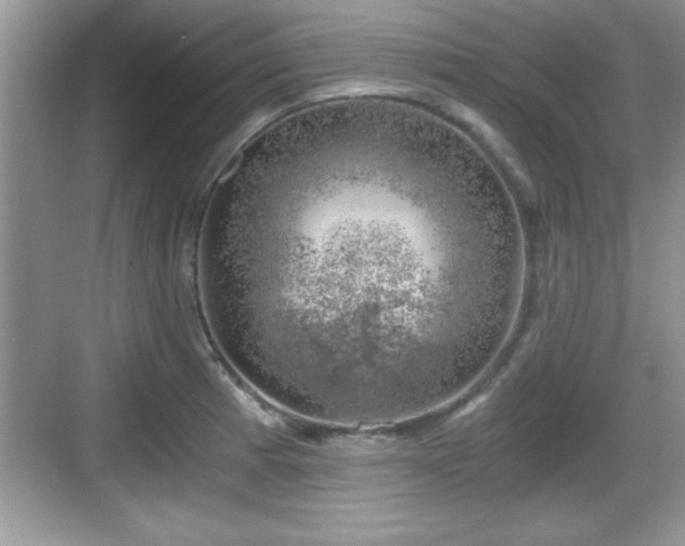 X0000068851185200605121401