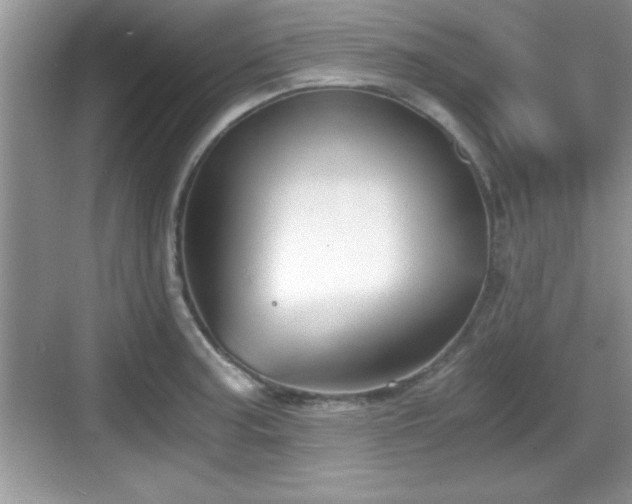 X0000068851187200605121401