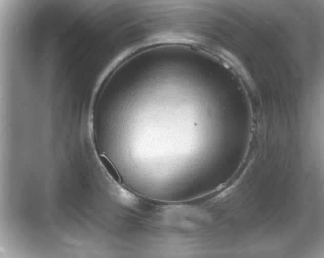 X0000068851188200605121401