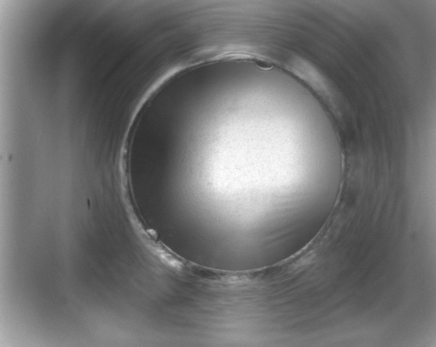 X0000068851190200605121401