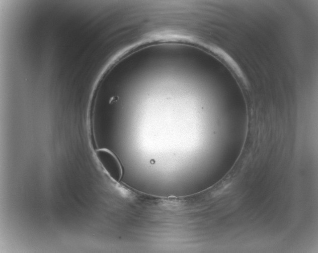 X0000068851191200605121401