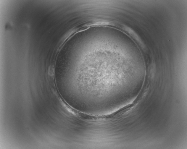 X0000068851193200605121401