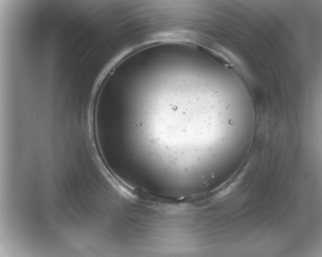 X0000068851196200605121401