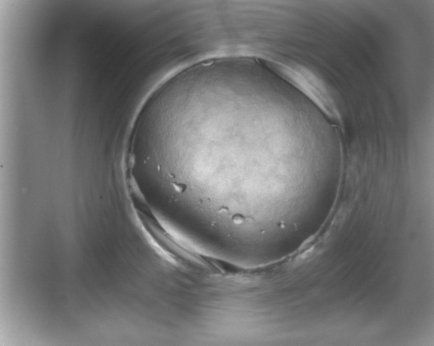 X0000068851197200605121401