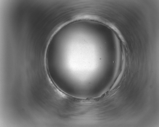 X0000068851199200605121401