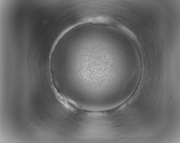 X0000068851200200605121401