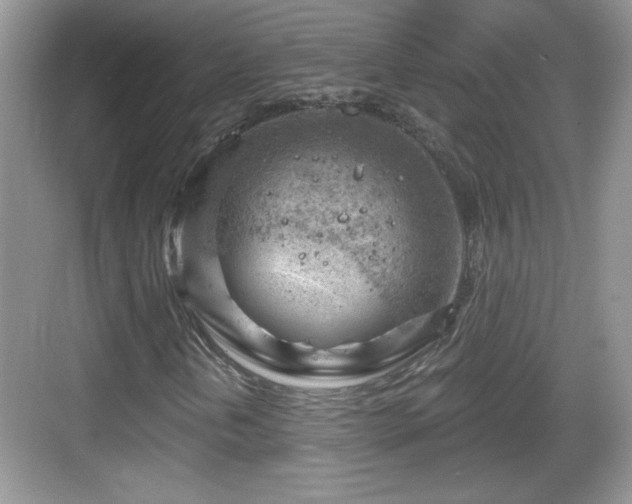 X0000068851202200605121400