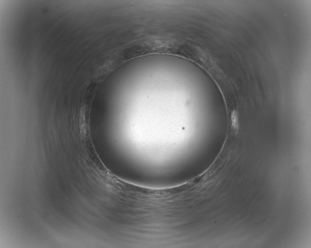 X0000068851203200605121400