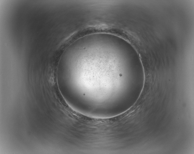 X0000068851205200605121400