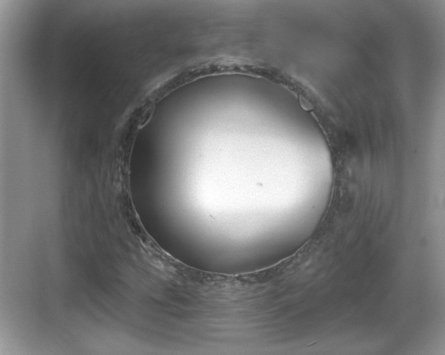 X0000068851207200605121400