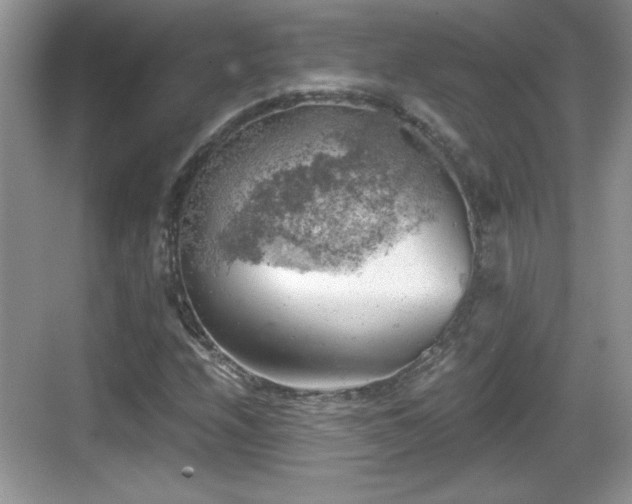 X0000068851208200605121400