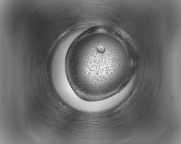 X0000068851210200605121400