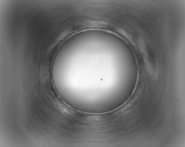 X0000068851211200605121400