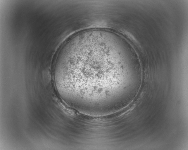 X0000068851212200605121400