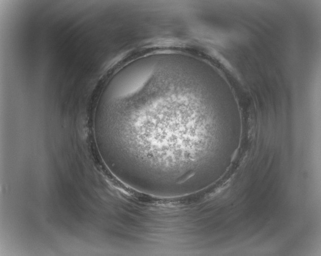 X0000068851213200605121400