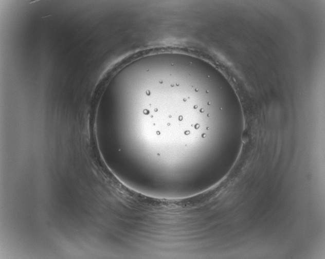 X0000068851214200605121400