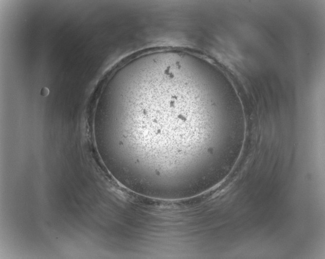 X0000068851215200605121400