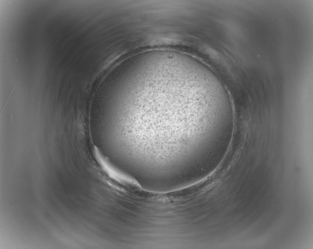 X0000068851217200605121400