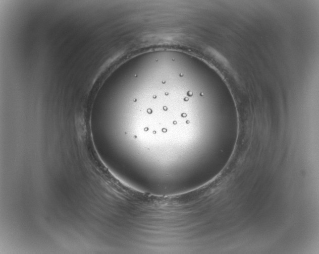 X0000068851218200605121400