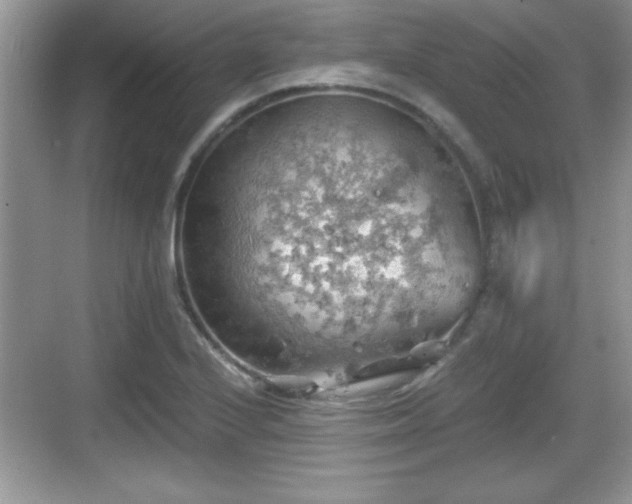 X0000068851224200605121401