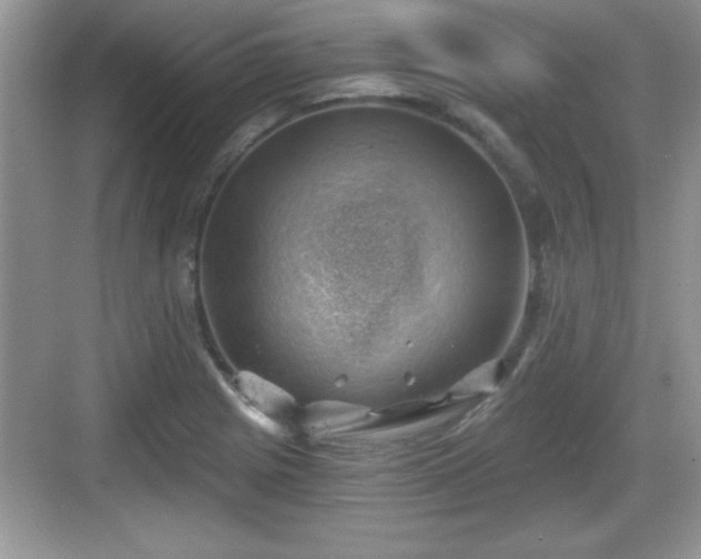 X0000068851225200605121401