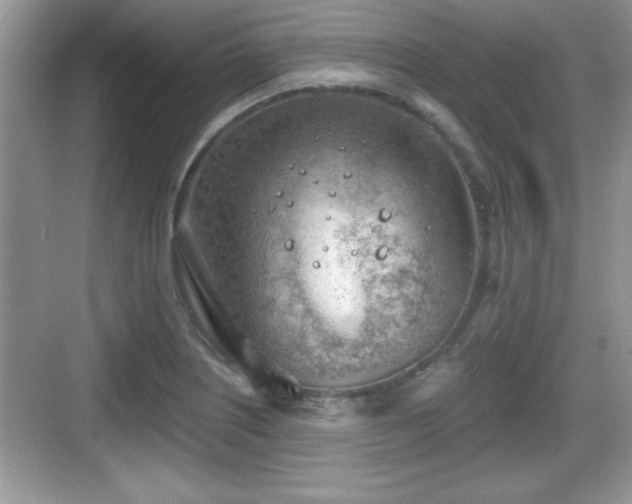 X0000068851226200605121401