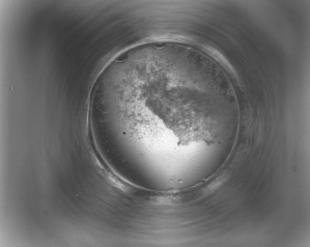 X0000068851228200605121401