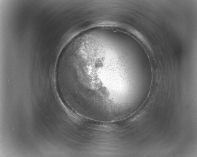 X0000068851229200605121401