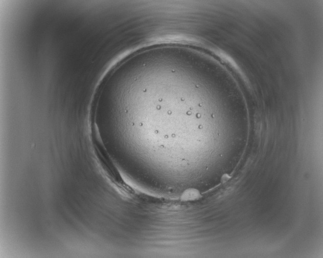 X0000068851230200605121401