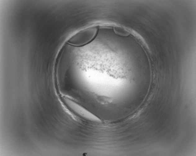 X0000068851231200605121401