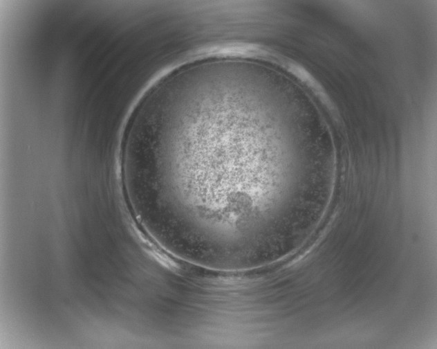 X0000068851232200605121401