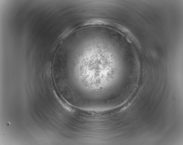 X0000068851233200605121401