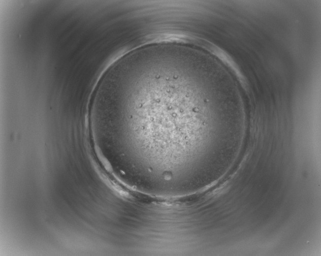 X0000068851234200605121401