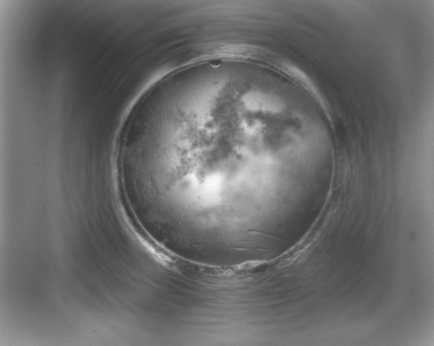 X0000068851235200605121401