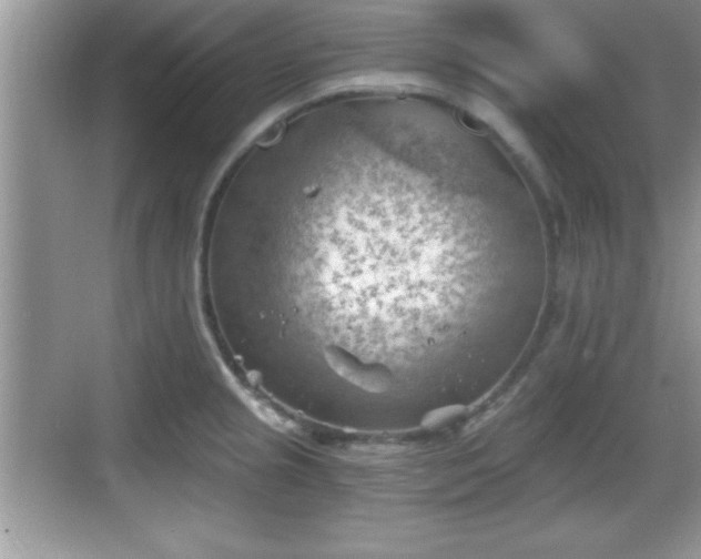 X0000068851237200605121401