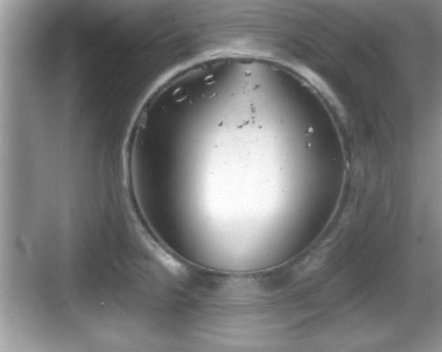 X0000068851238200605121401