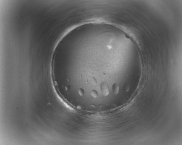 X0000068851239200605121401