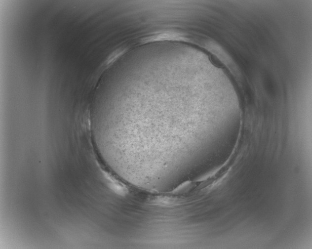 X0000068851241200605121401